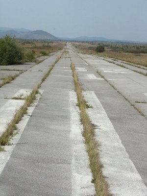 n5264941451668433779195.jpg