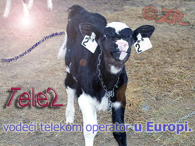 Tele2.jpg