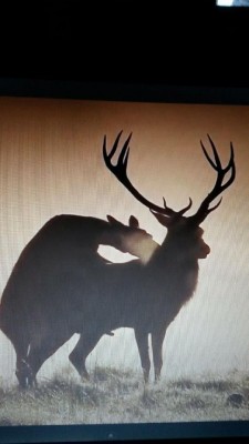 20131012_214234.jpg