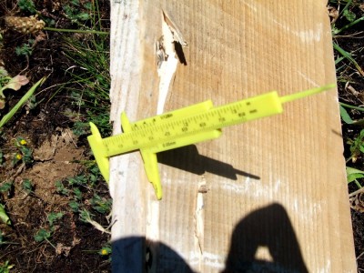 DSCF7533.JPG