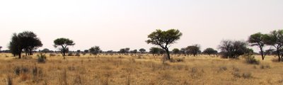 IMG_2824.JPG