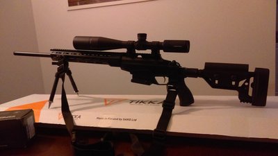 tikka.jpg