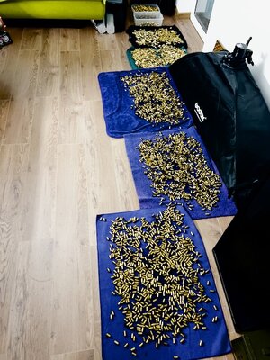 IMG_3064 (2).jpeg