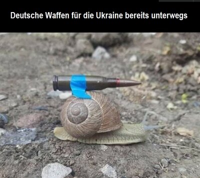Isporuka.jpg