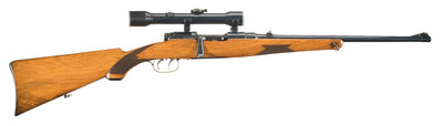 0010 with scope.jpg