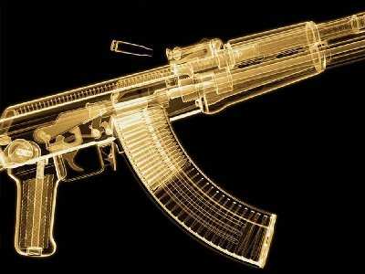 kalashnikovakxray8sj.jpg