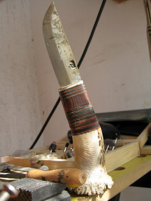 p3.jpg