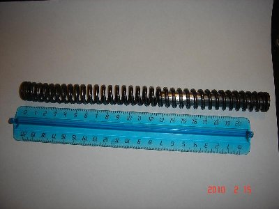 DSC03286-medium.JPG