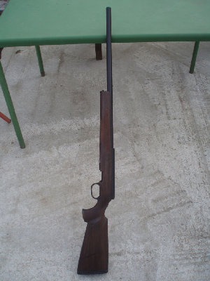 pic1.jpg